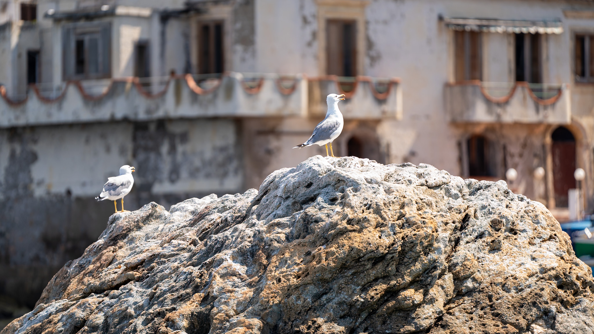 Scilla Experience da Reggio Calabria – Mare, storia e tradizione — Foto esperienza 4